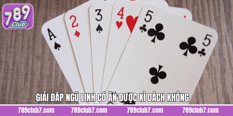 Giải đáp chi tiết thắc mắc Ngũ Linh có ăn được Xì Dách không