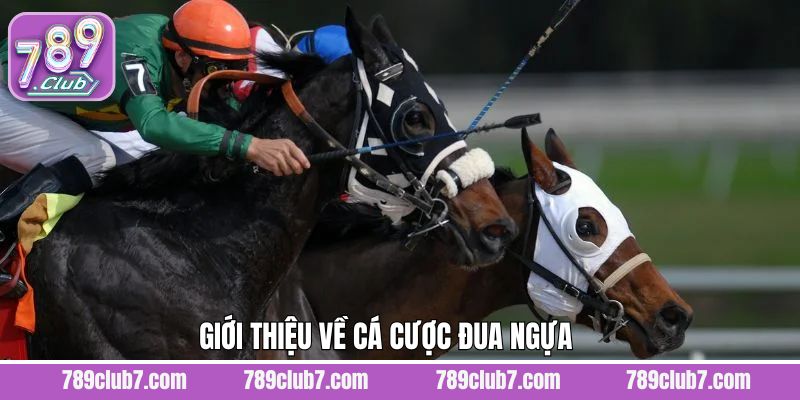 Nét chính về theo dõi và cá cược trường đua tại 789CLUB