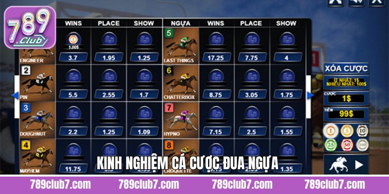 Kinh nghiệm chinh phục kèo cược chuẩn xác