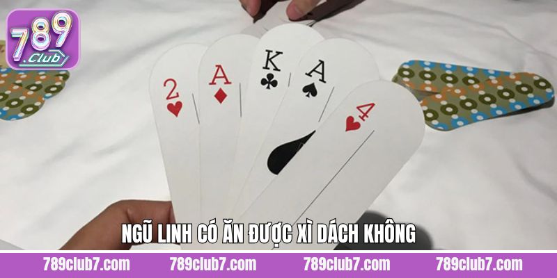 Ngũ Linh Có Ăn Được Xì Dách Không? Giải Đáp Chi Tiết